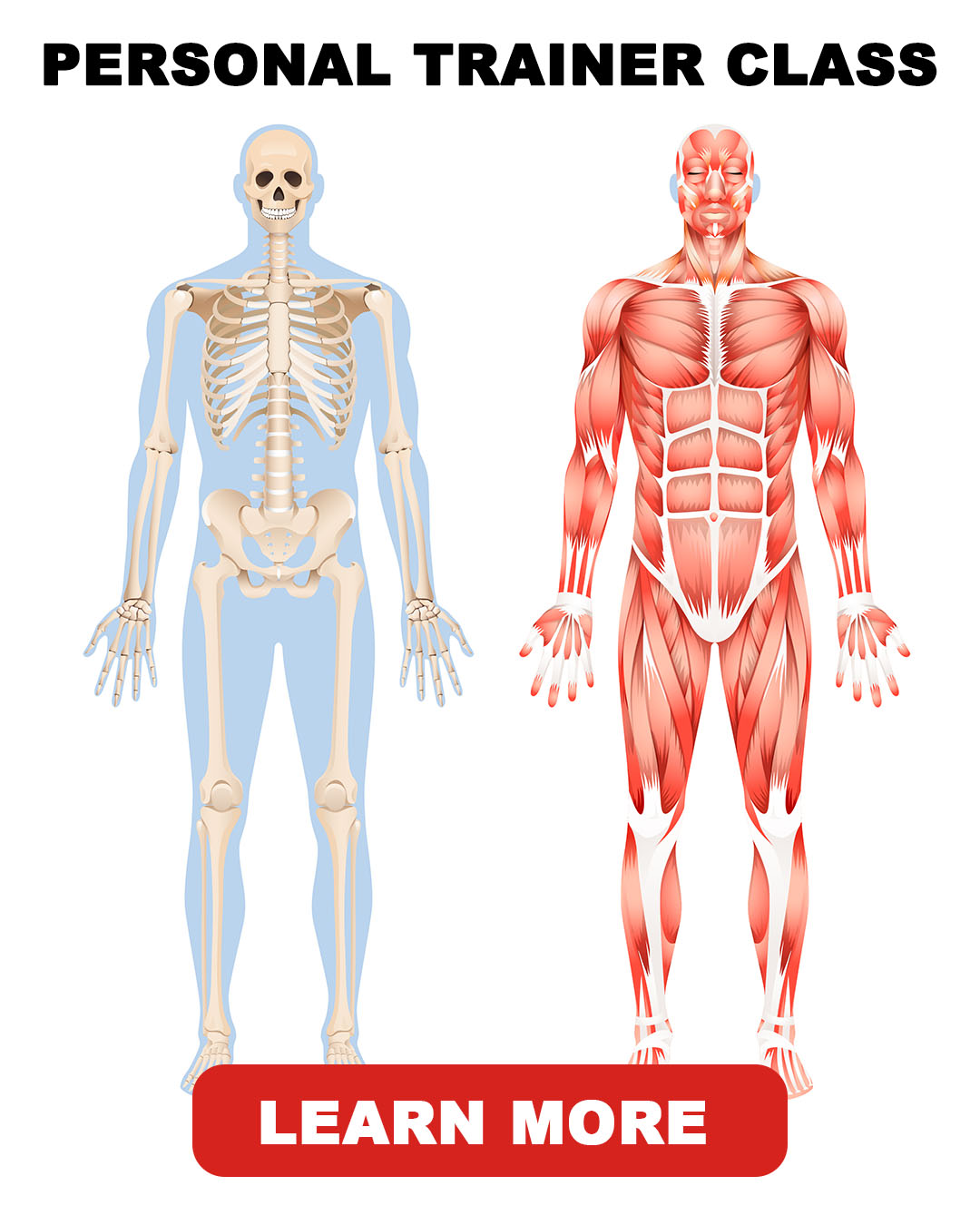 personal trainer certification pfta schools become a personal trainer at pfta schools