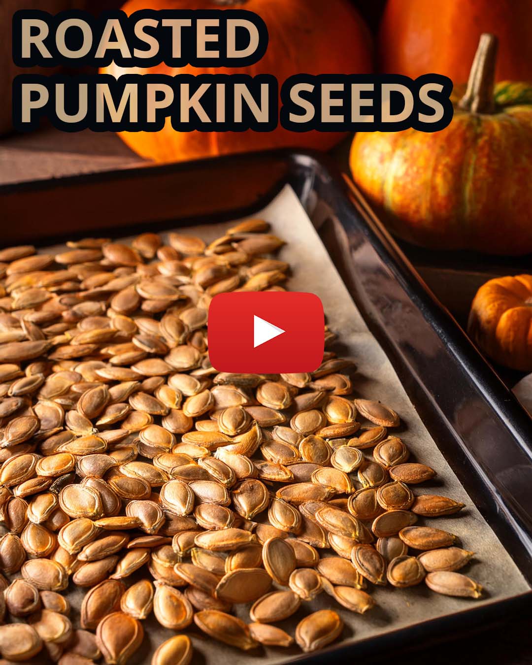 personal trainer certification roasted pumpkin seeds roasted pumpkin seeds at pftaschools