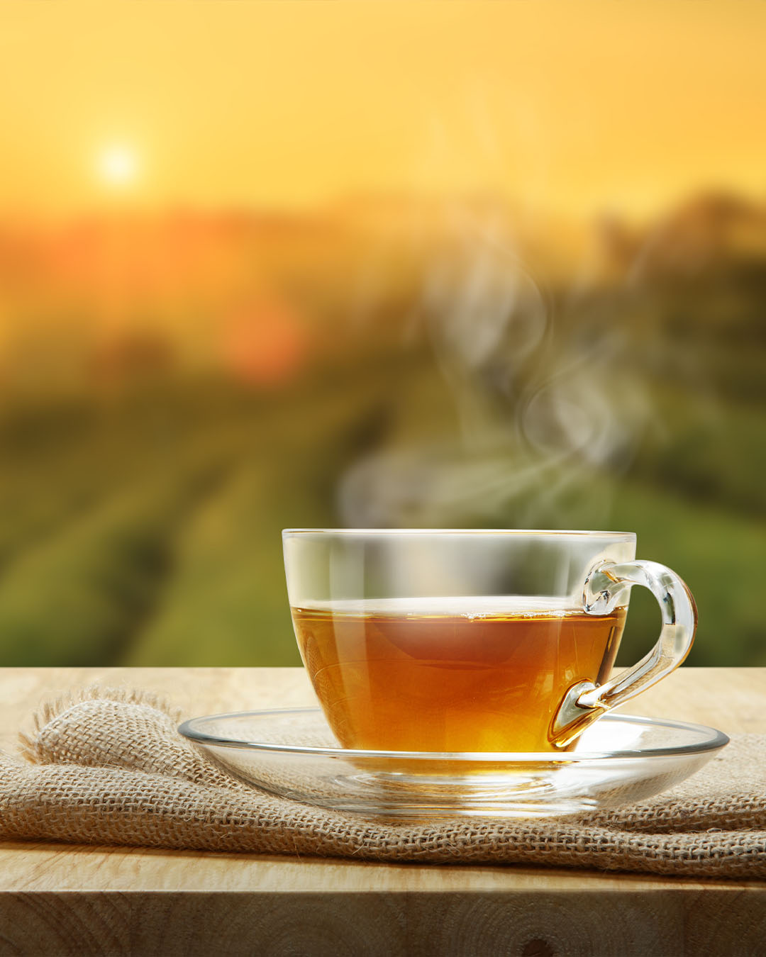 personal trainer certification black tea black tea at pfta schools